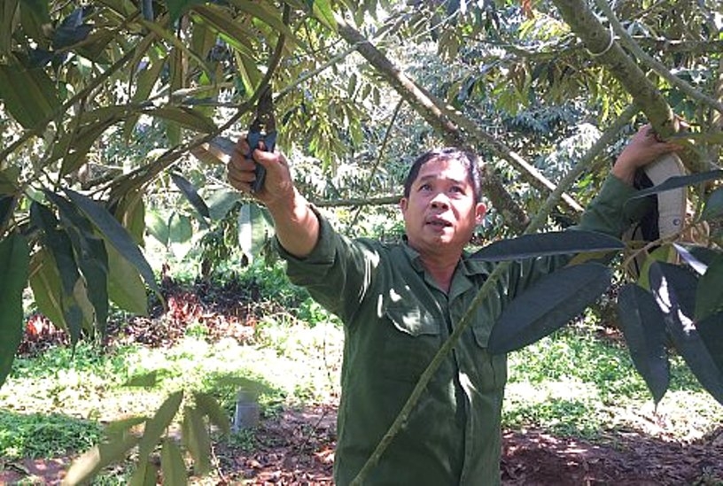 1752 mo hinh lam kinh ty giyi cya nct xa ea tar