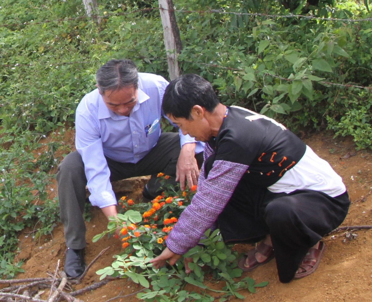 Hoạt động Hội NCT các địa phương