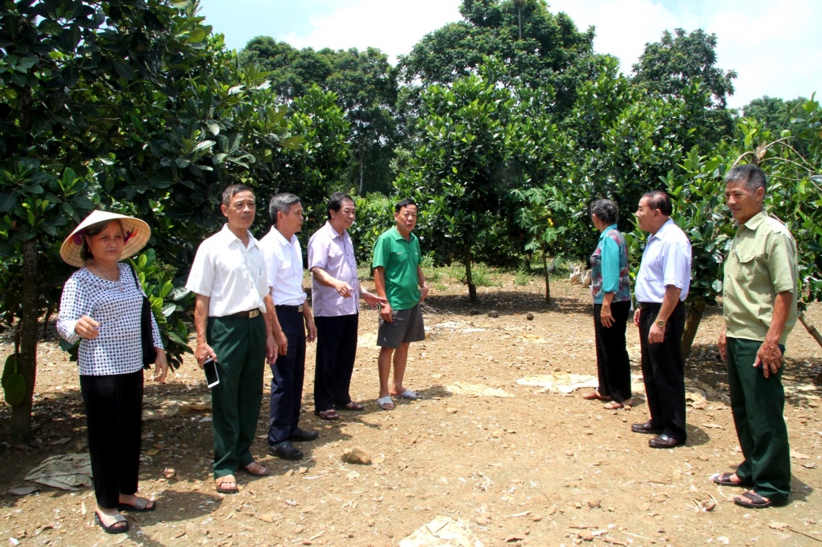 Thăm trang trại của ông Phạm Văn Chiến, thành viên CLB LTHTGN thôn Sẻ, xã Cẩm Bình, huyện Cẩm Thủy được vay vốn hỗ trợ tăng thu nhập