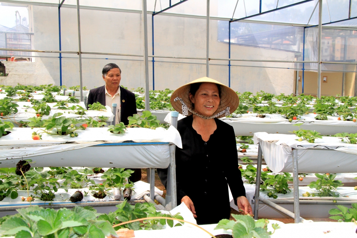 Thăm mô hình NCT làm kinh tế giỏi tỉnh Lâm Đồng