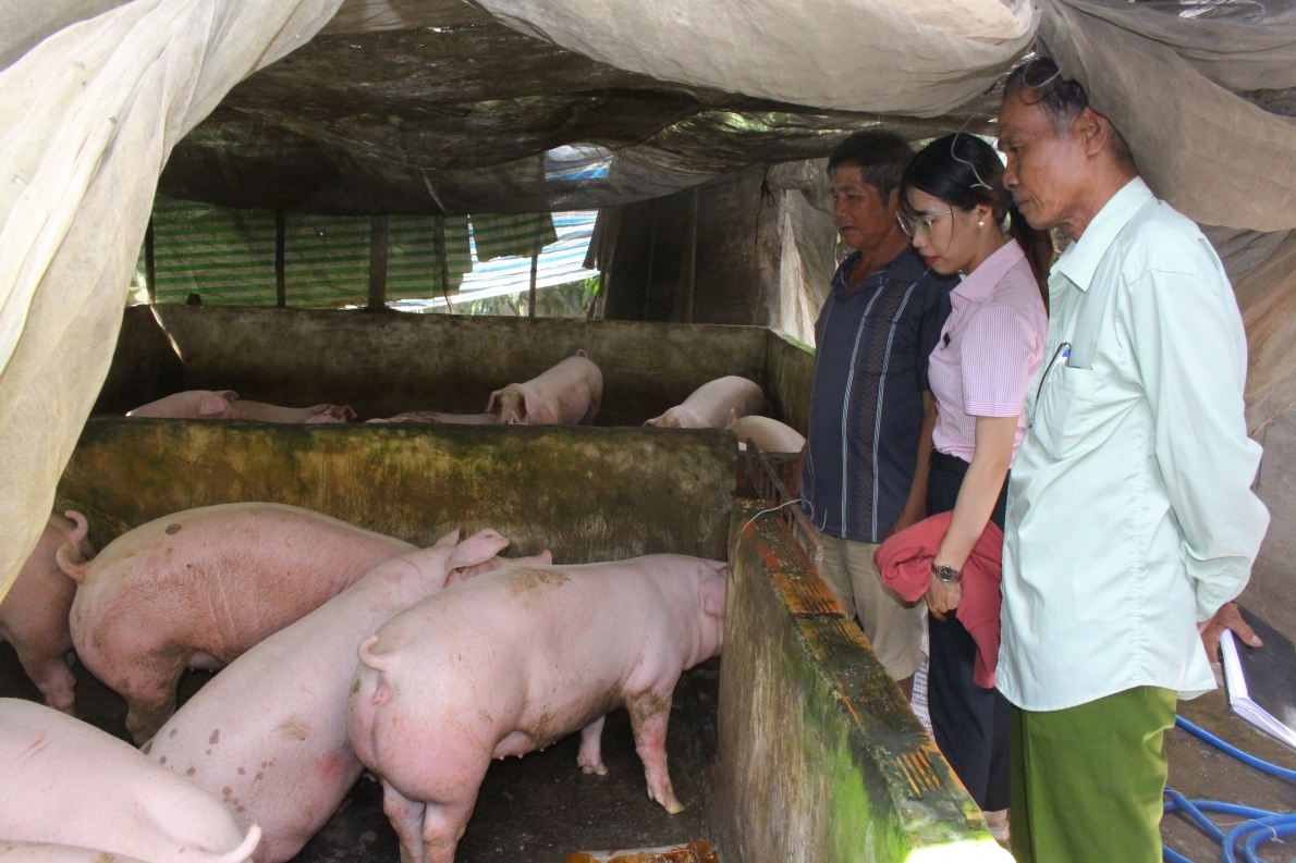 Quan trọng là phải học hỏi…