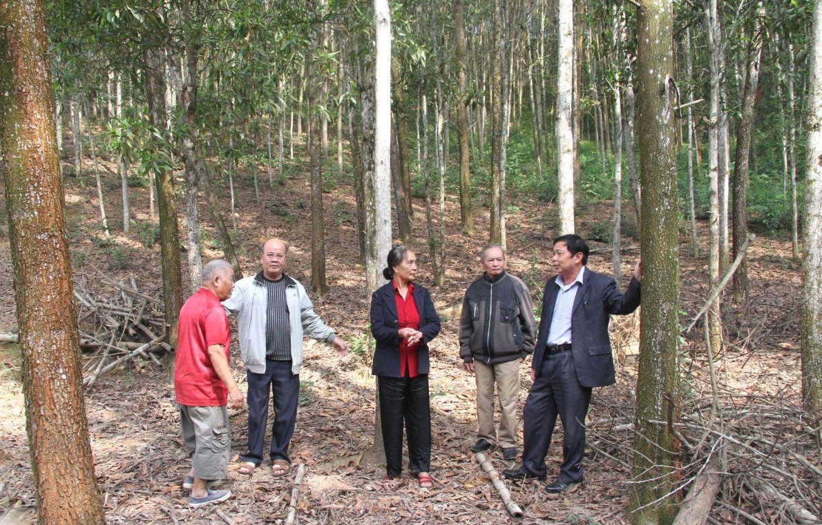 Lãnh đạo Hội Người cao tuổi tỉnh Nghệ An thăm hội viên làm kinh tế giỏi