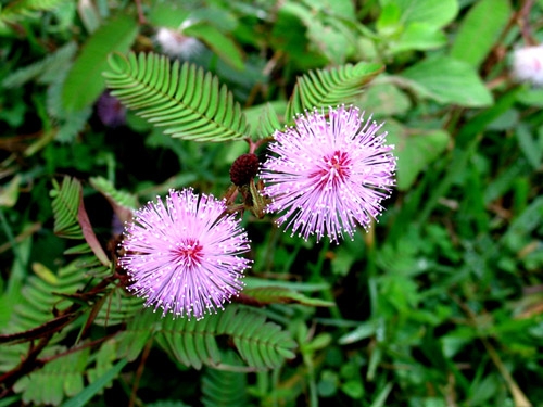 Chế độ ăn uống, luyện tập, các bài thuốc Nam dành cho người mắc bệnh xương khớp