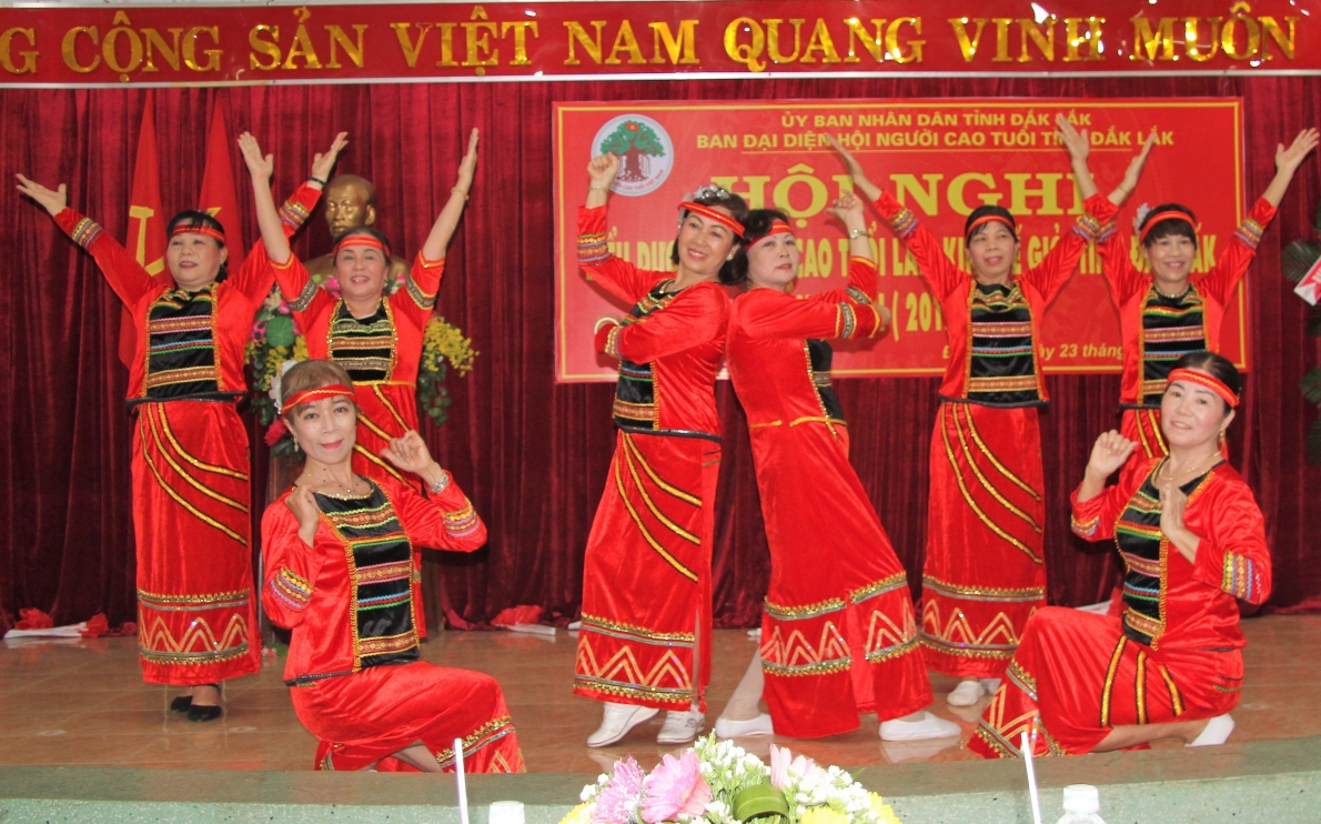 Hoạt động Hội Người cao tuổi nhiều khởi sắc