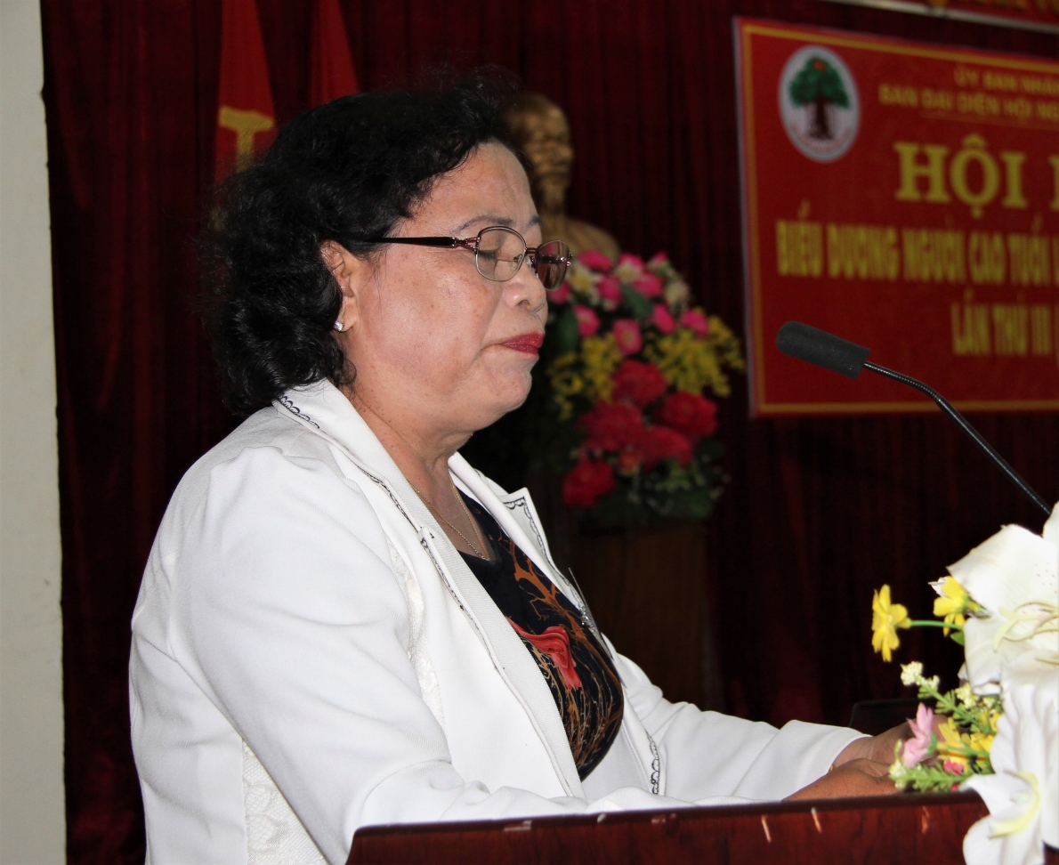 Hoạt động Hội Người cao tuổi nhiều khởi sắc