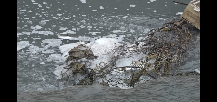 Vô tư xả thái ra môi trường