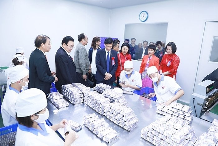 Đoàn khách tham quan nhà máy GMP Tâm Bình