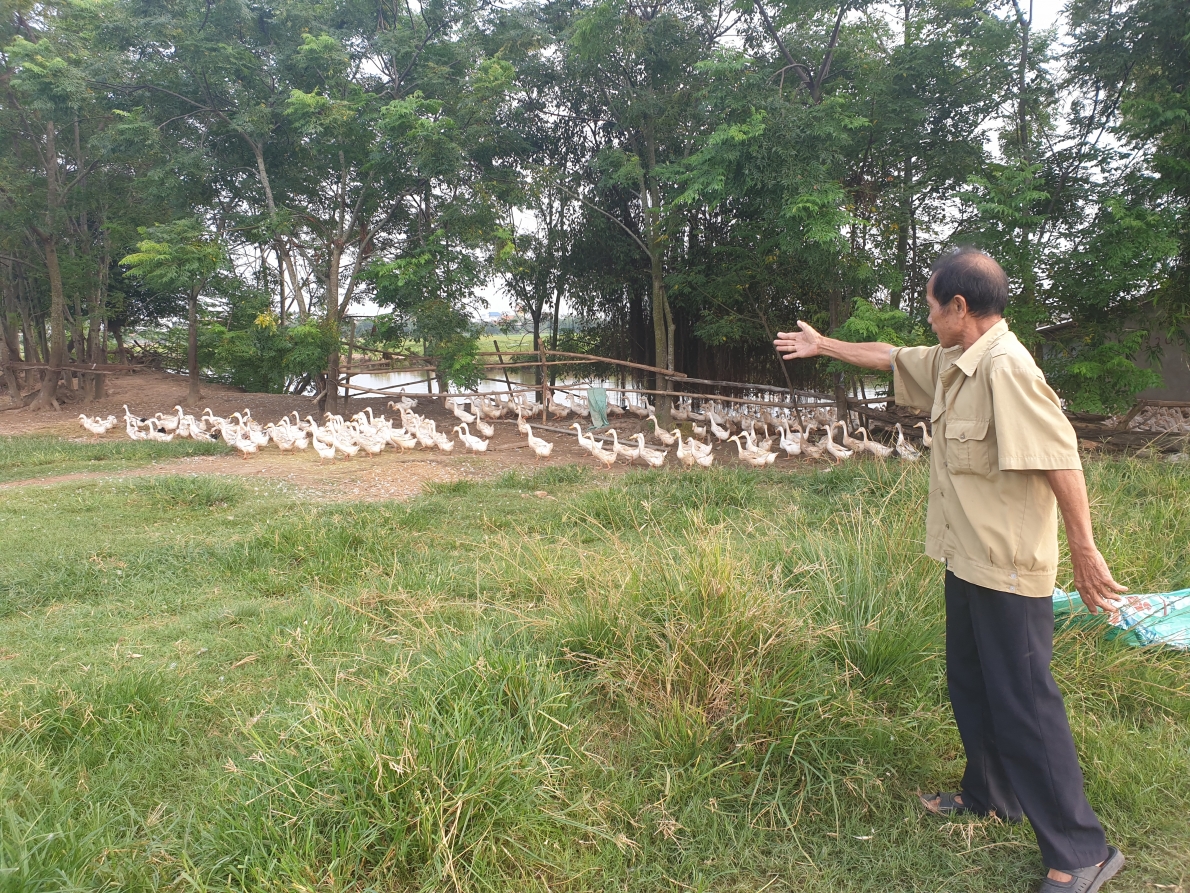 Huyện Trực Ninh, tỉnh Nam Định: Thông tin về Dự án “chết yểu” tại xã Phương Định