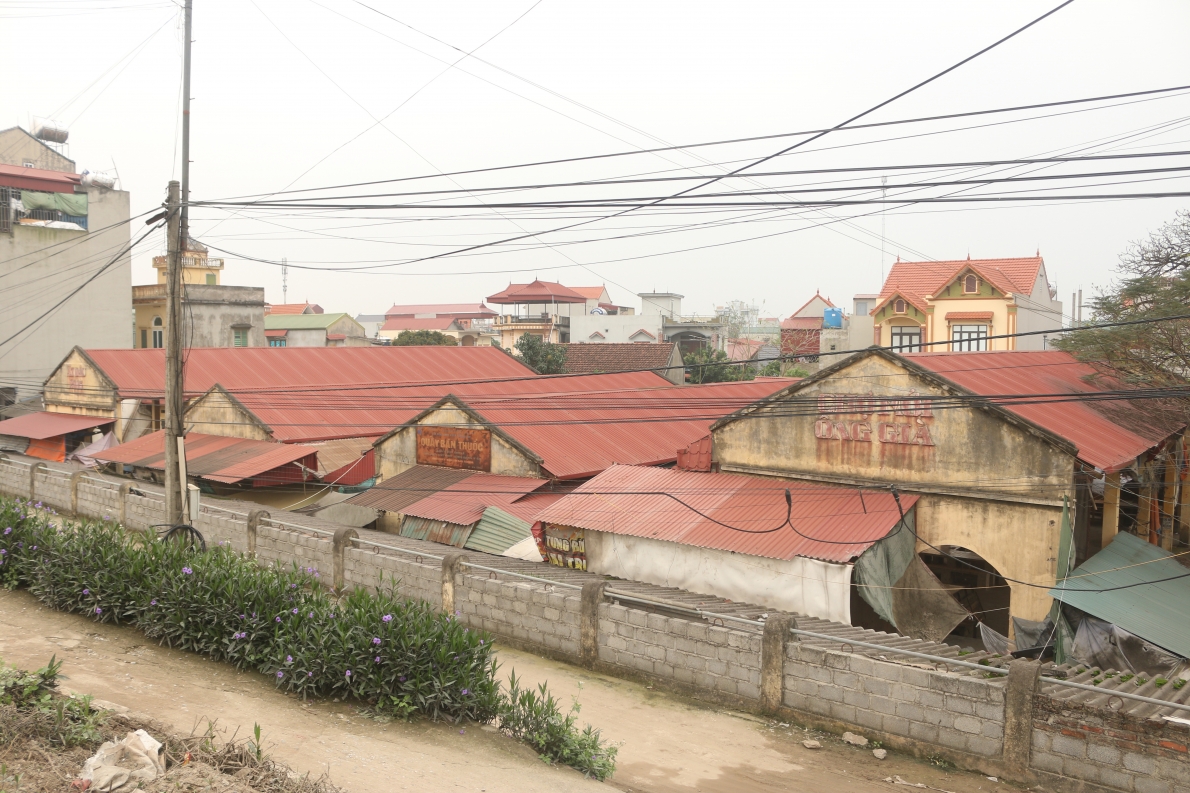 Cây sử làng Vân La