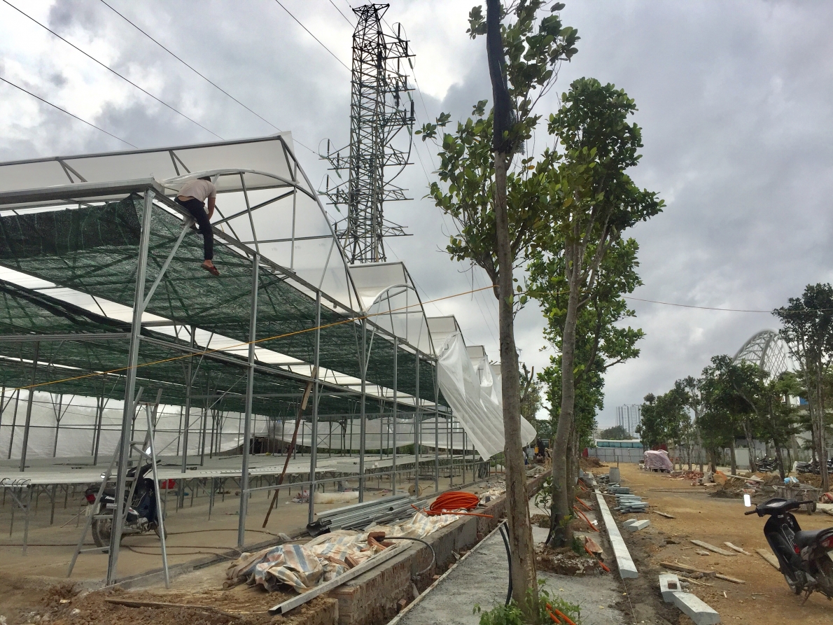 Viết tiếp bài: Hải Phòng cưỡng chế lúc rạng sáng có đúng luật?: Viện Kiểm sát nhân dân tối cao giao Vụ 12 xử lý