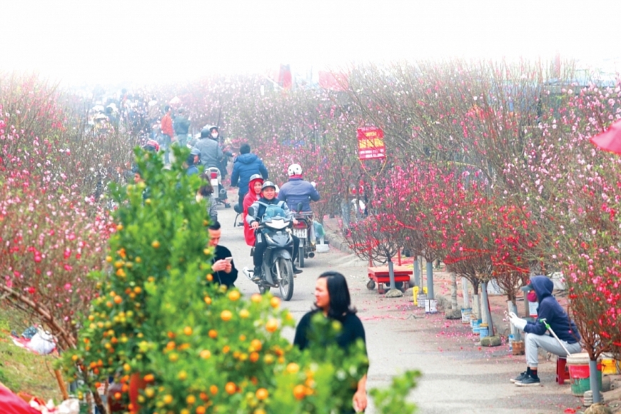 Kính trọng người già là giữ gìn kho báu