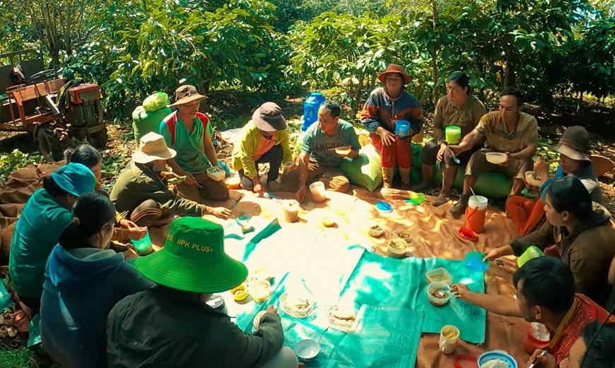 Những nụ cười nương rẫy