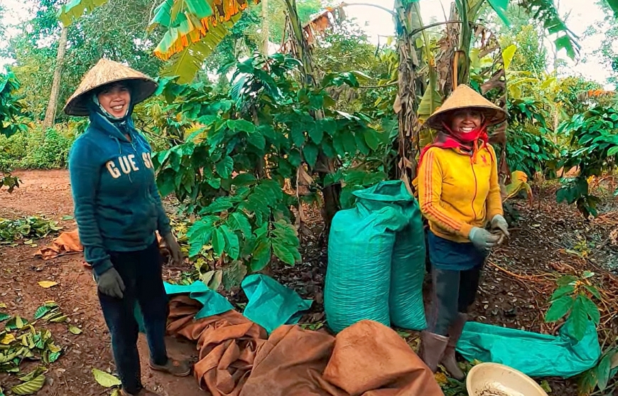 Những nụ cười nương rẫy
