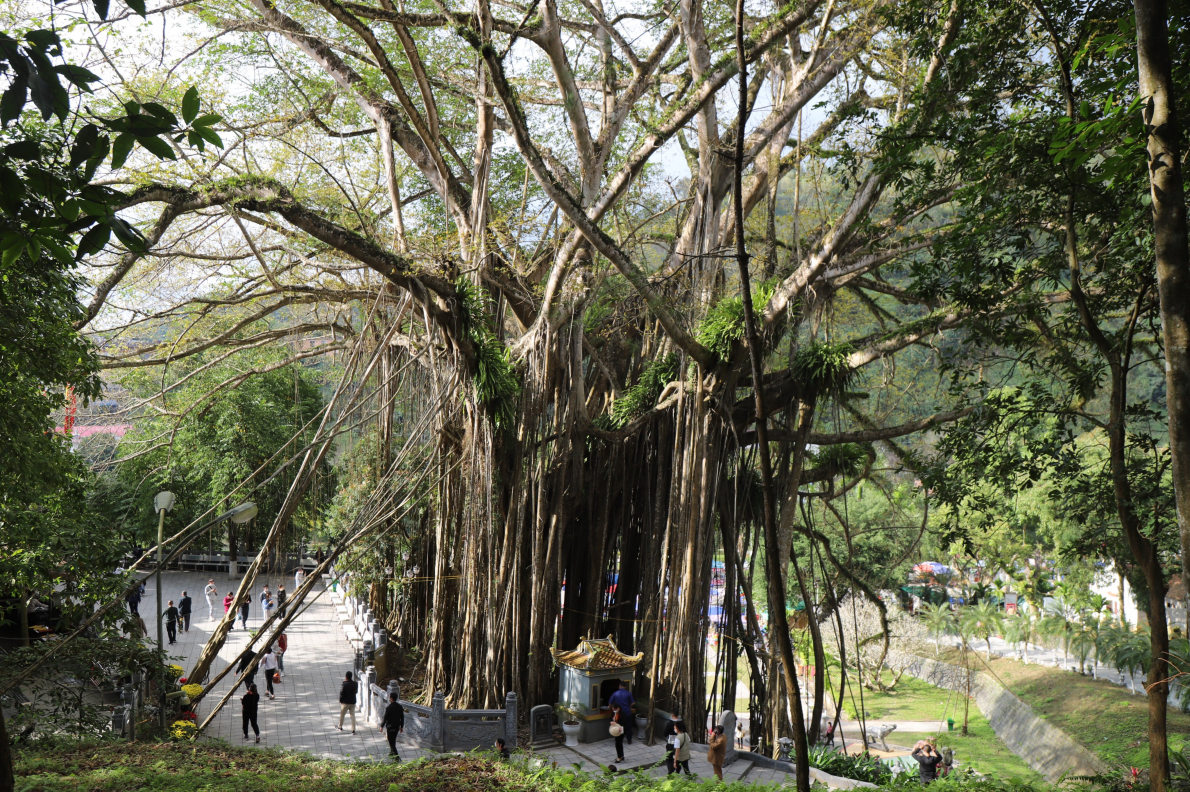 Đền thượng Lào cai hơn 300 tuổi gìn giữ văn hoá và lịch sử