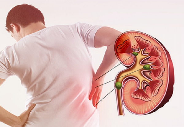 Con người dưới cách nhìn của y học cổ truyền (Kì 21)