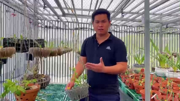 "Tráo long, đổi phụng”, khi bị phát giác cù nhây không trả lại tiền