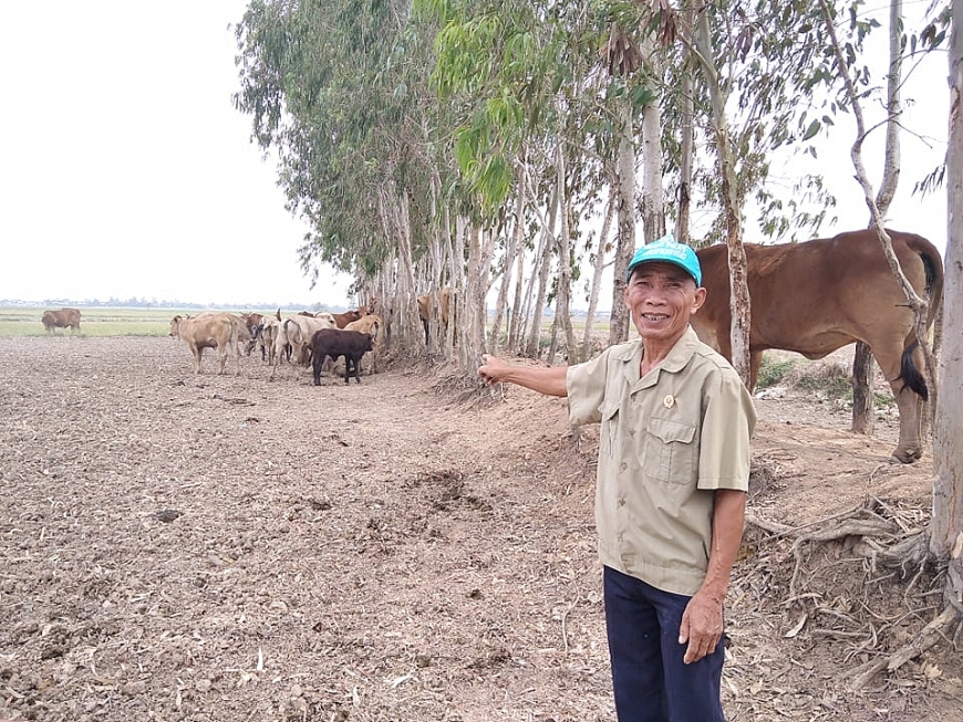 CCB Phan Van Tinh ben dan bo lai sind sinh san o xa PN-HTN-TDT