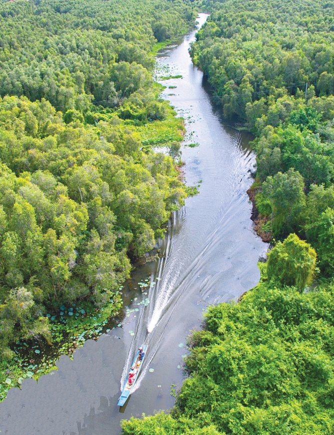Rừng U Minh Thượng rộng trên 8.000ha