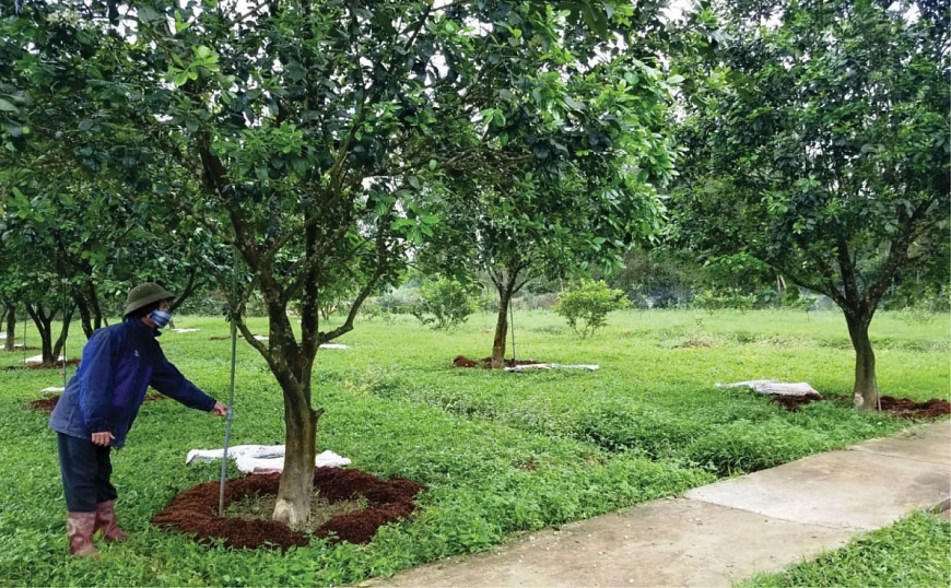 Làm giàu từ mô hình nuôi trồng khép kín Làm giàu từ mô hình nuôi trồng khép kín