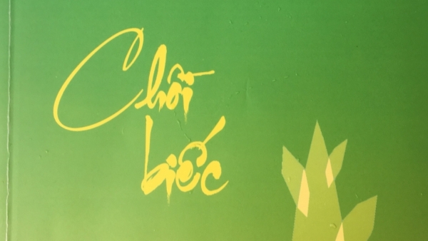 “Chồi biếc” thông điệp uống nước nhớ nguồn