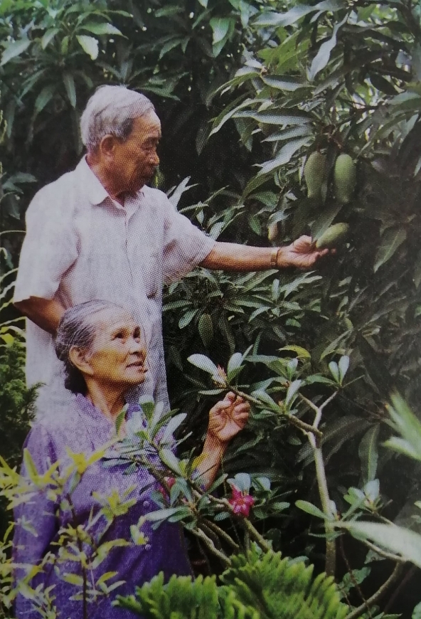 Họ đã hi sinh cả thời con gái