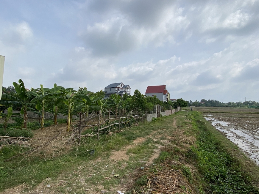 -Khu đất mà công dân tố cáo hiện các hộ đã xây dựng bờ bao, trồng cây