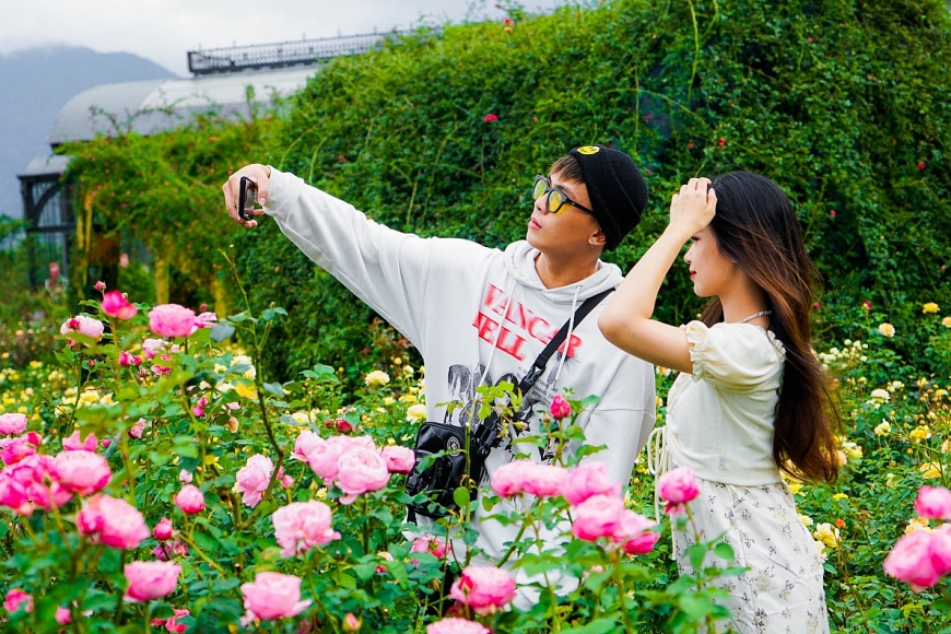 Những triền hoa hè rực rỡ - thứ 