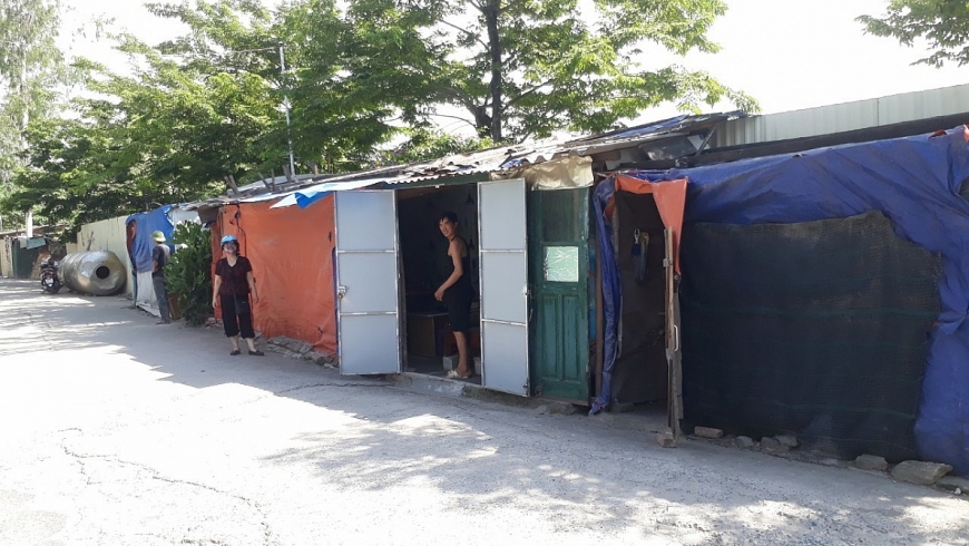 Các hộ dân từ khi cưỡng chế, không có nhà đã dựng tạm lán để sinh sống.