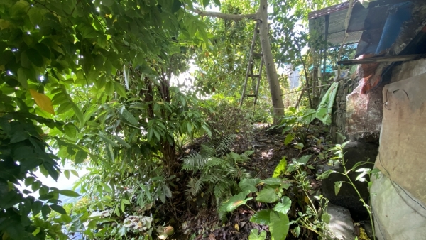 Căn cứ lập biên bản và xử phạt vi phạm hành chính chưa đúng quy định?