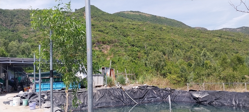  2: Khu vực rẫy gia đình ông Vũ sử dụng hiện đang bị chiếm giữ và sang nhượng cho nhiều người   