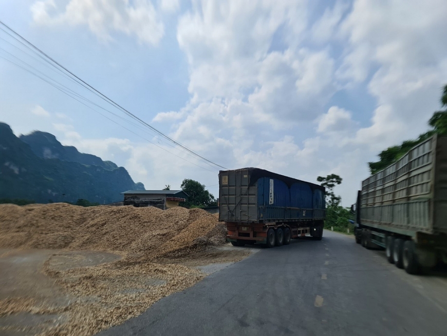 Buông lỏng quản lí đối với các cơ sở sản xuất, chế biến gỗ dăm