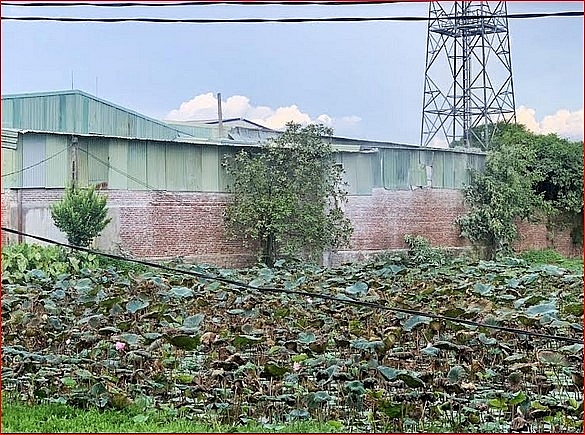 Nhà xưởng xây dựng không giấy phép và gây ô nhiễm môi trường.