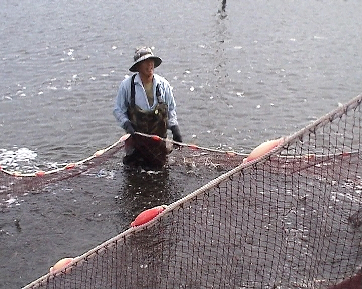 Làm giàu nhờ nuôi thủy sản bền vững