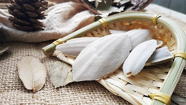 Mai mực được đông y sử dụng chữa nhiều bệnh.