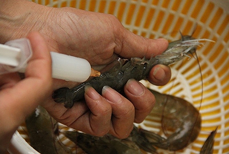 Cách nhận biết tôm, cá “ngậm” hóa chất