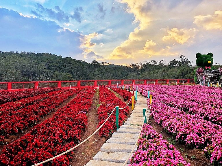 Lạc lối ở làng hoa