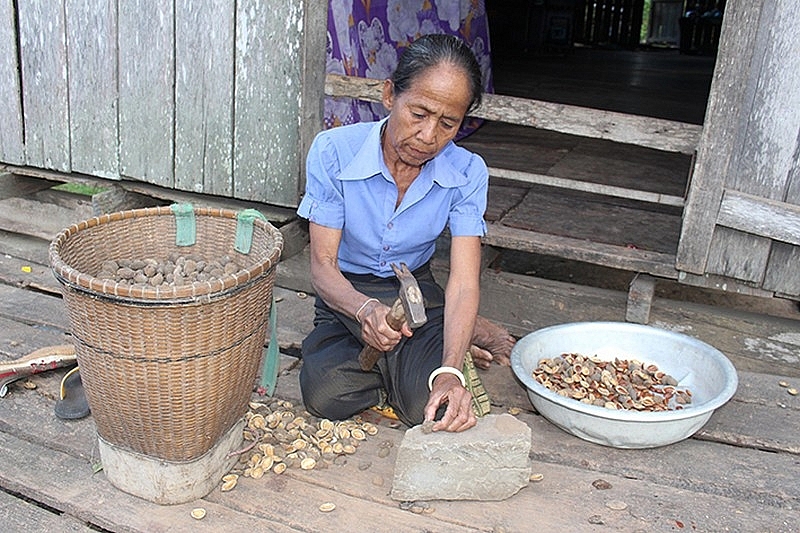 Thương nhớ Kơ nia