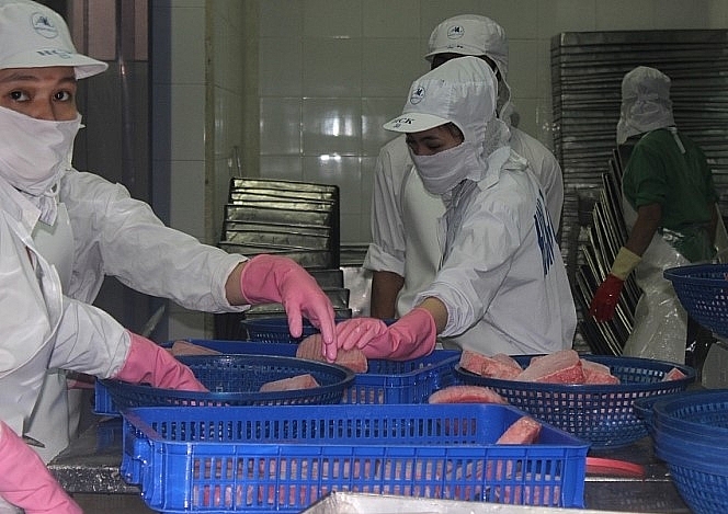 Xuất khẩu cá da trơn