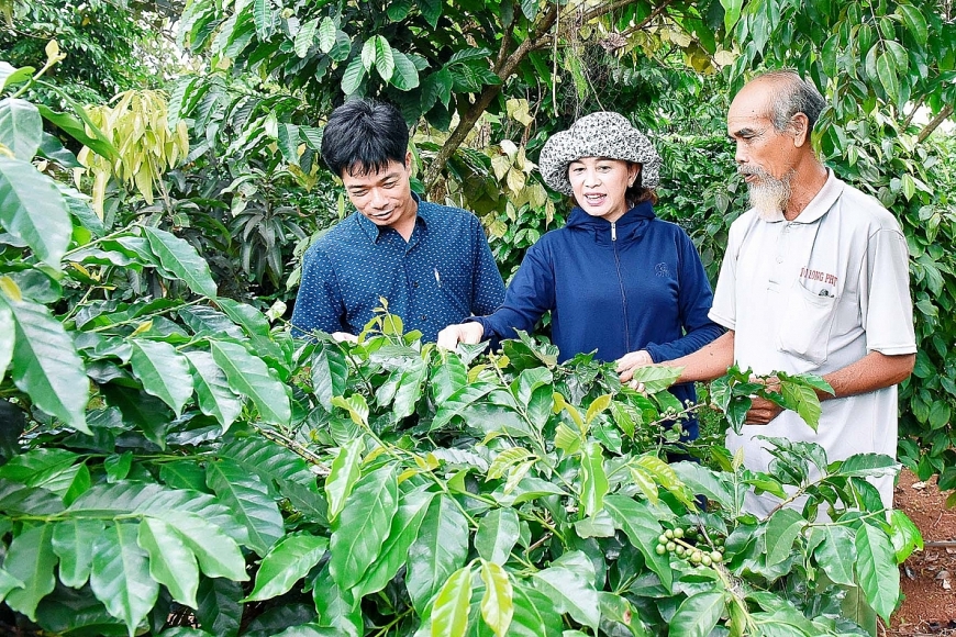 Hội viên NCT thị trấn Kon Dơng tích cực làm kinh tế xóa đói giảm nghèo. Ảnh: Thanh Hà