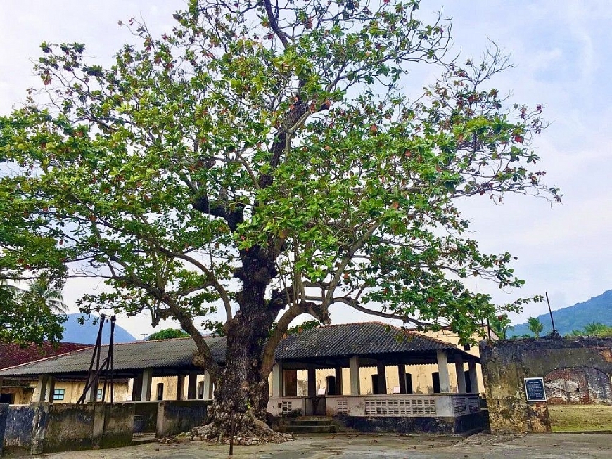 Côn Đảo một lần đến