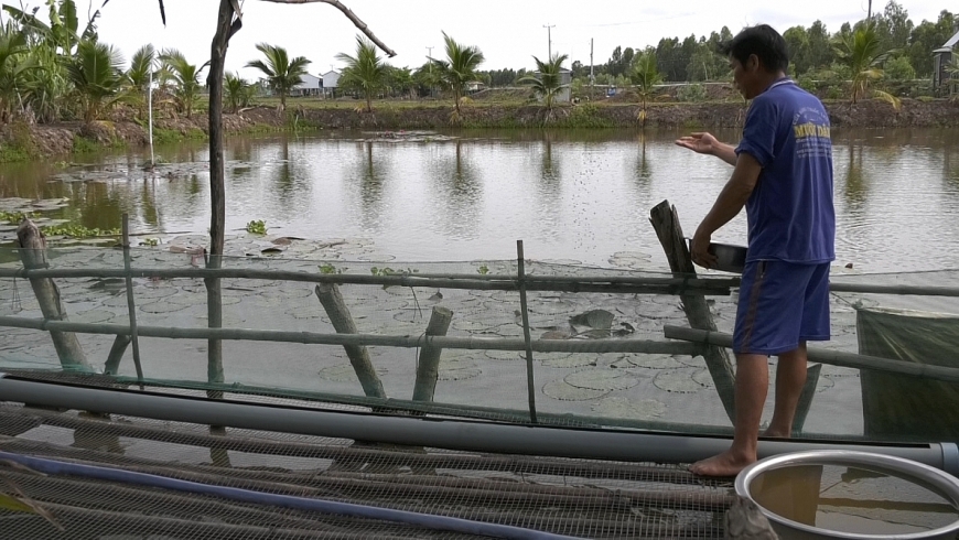 Hiệu quả từ  Dự án Sinh kế mùa lũ