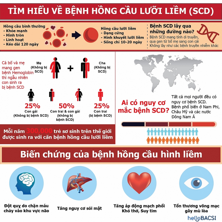 Vấn đề của hệ tim mạch