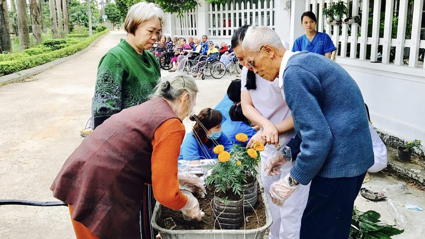 NCT tham gia hoạt động trồng cây                                               Ảnh IT