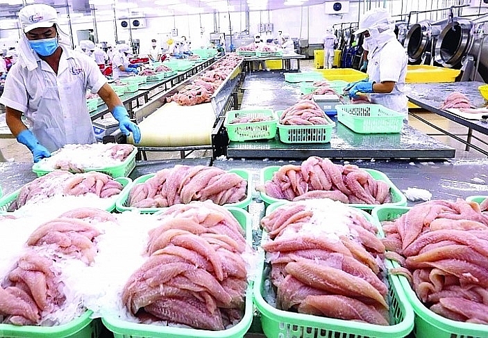 Chế biến cá tra xuất khẩu tại Công ty Hùng Cá