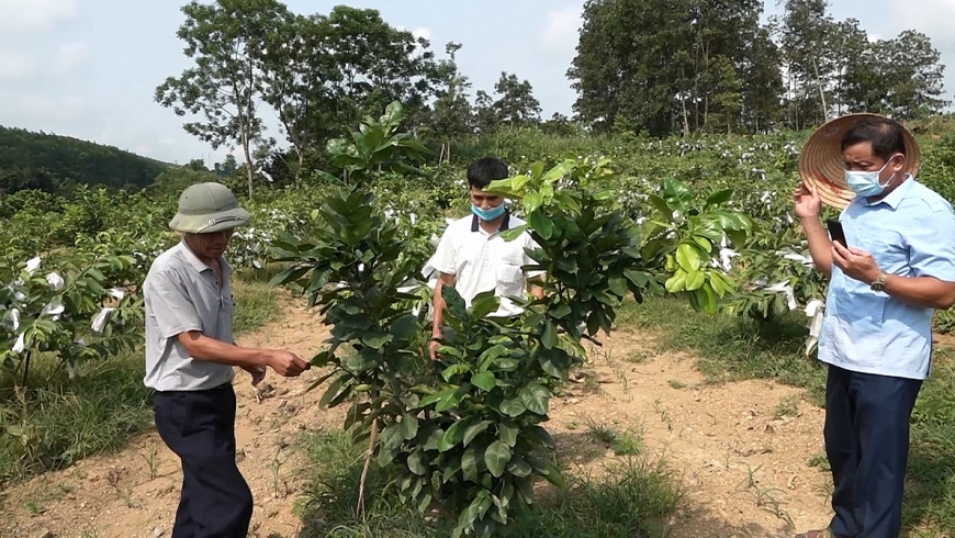 Người cao tuổi huyện Như Xuân, tỉnh Thanh Hóa: Vừa chống dịch, vừa vượt khó làm giàu