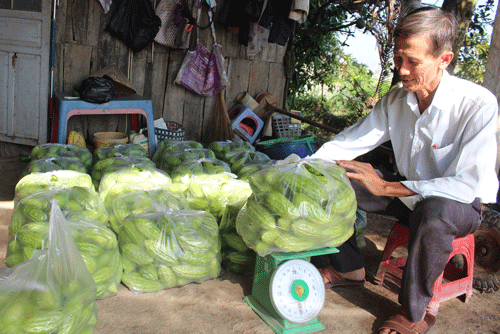 Hỗ trợ kết nối cung - cầu tiêu thụ nông sản hỗ trợ NCT.