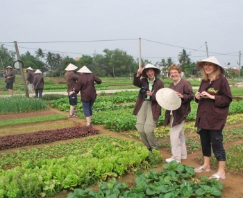 Những “ông Tây” ở làng rau Trà Quế