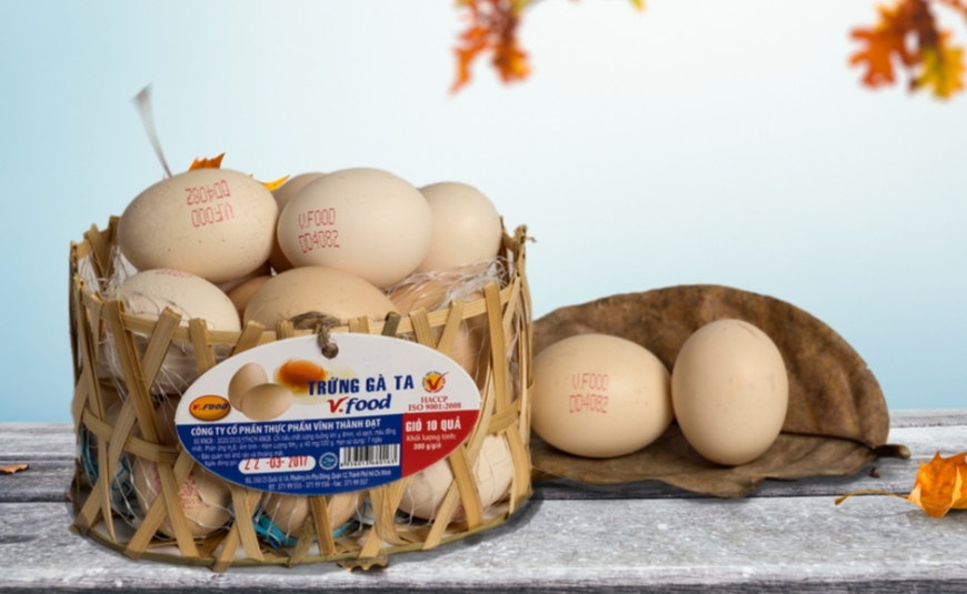 Quả trứng Made in Vietnam của người cao tuổi