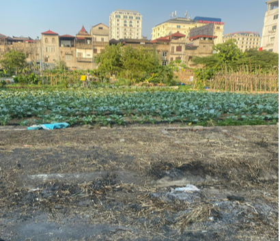 Nộp tiền gần 20 năm, 61 hộ dân vẫn chưa được giao đất để làm nhà