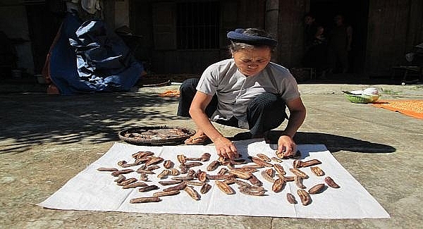 Chuối sau khi bóc vỏ được mang ra phơi nắng.